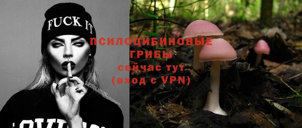 Альфа ПВП Волоколамск
