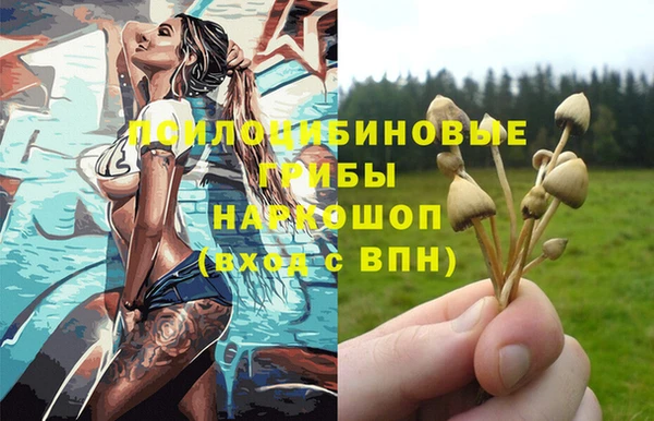 Альфа ПВП Волоколамск